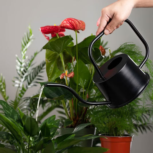 Black Metal Watering Can for Garden